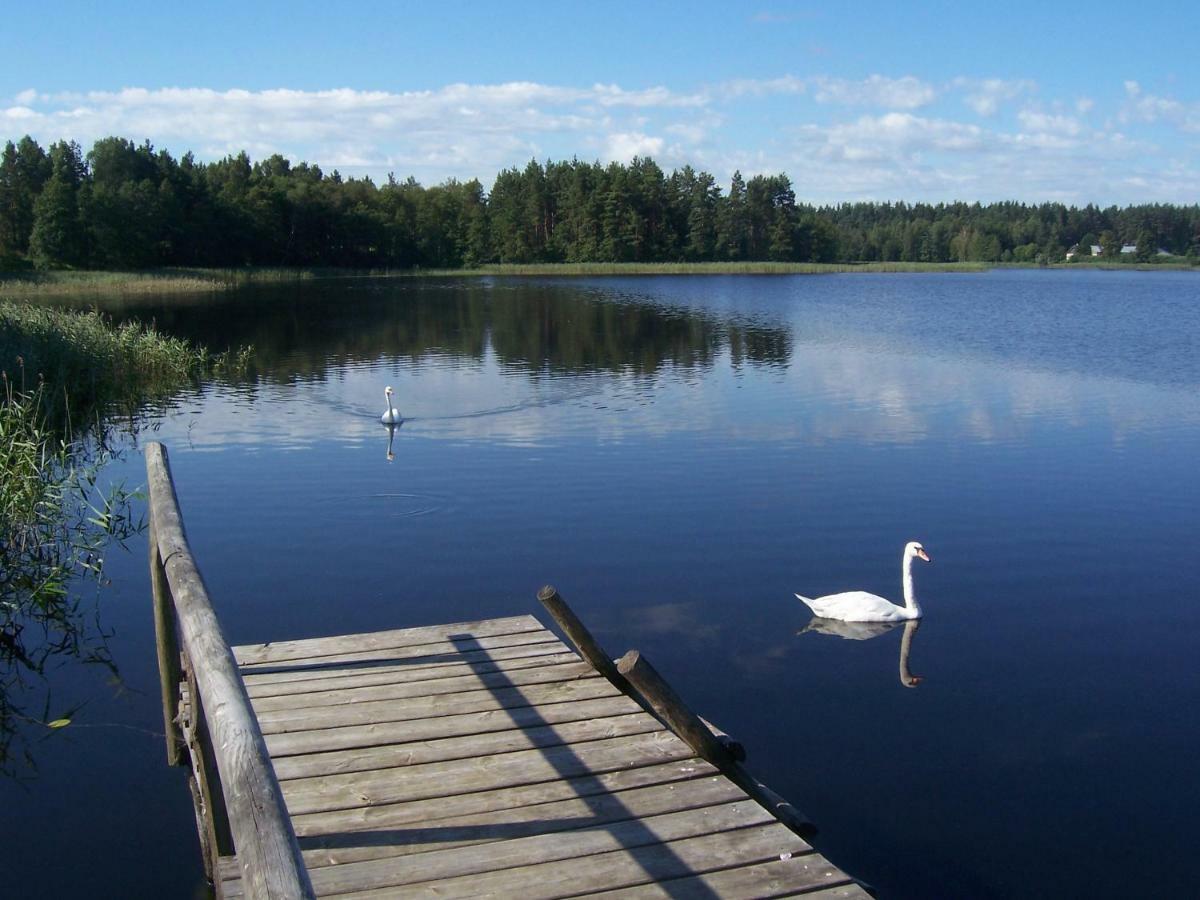 Domwigierski Pl -Jeziorki -Gr- Comfort-Ferienhaus-Polen - Wlasna Linia Brzegowa I Sauna Wysoki Most  Exterior photo